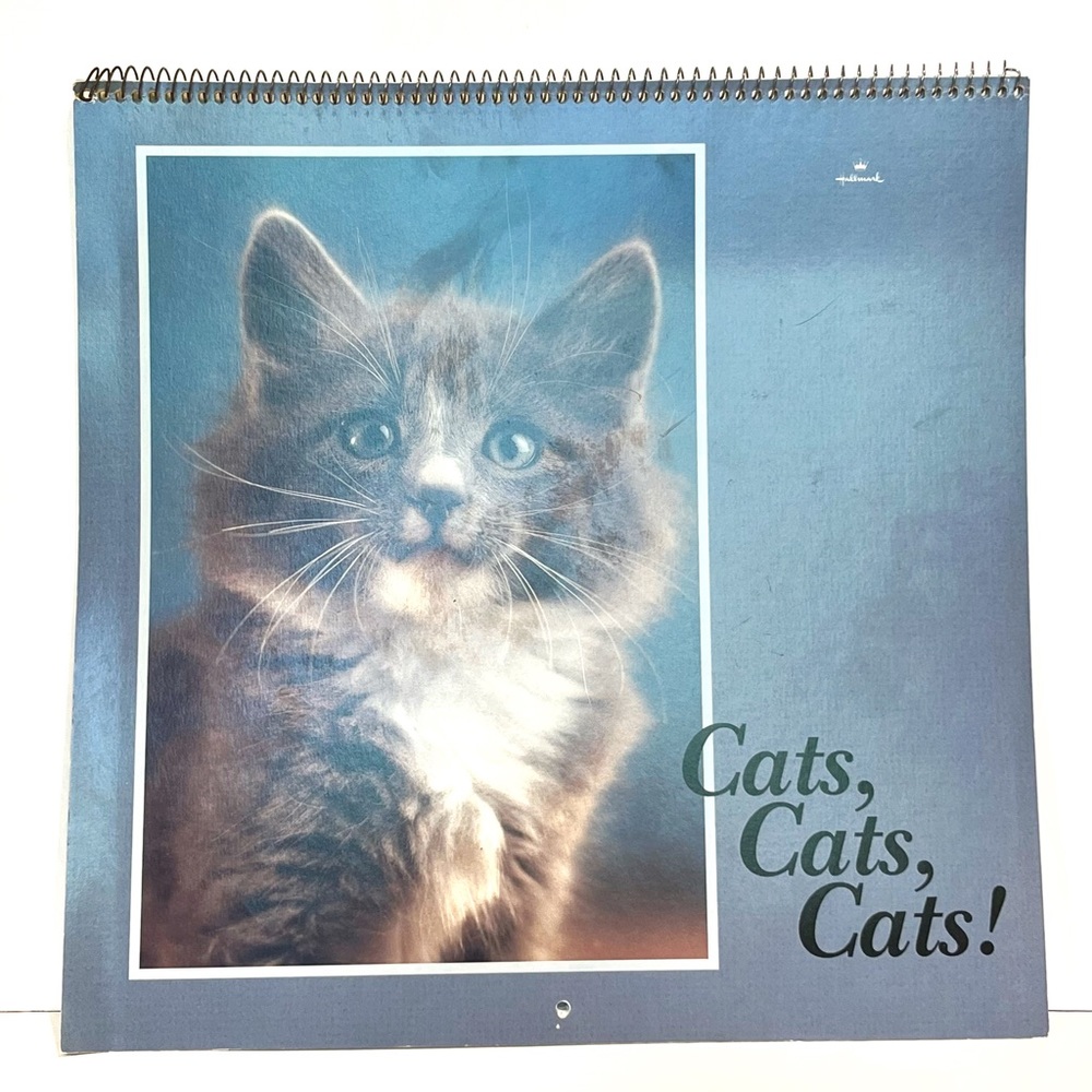 Vintage 1994 Hallmark Cat Calendar 12 Month Quotes Blank Kitten Kitty Cute Funny